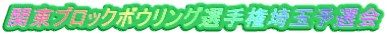 関東ブロックボウリング選手権埼玉予選会
