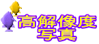 高解像度 写真