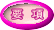 要　項